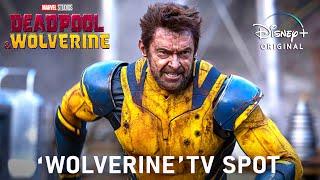 Deadpool & Wolverine New TV spot (Wolverine) | New TV Spot | "Wolverine" | deadpool 3 trailer