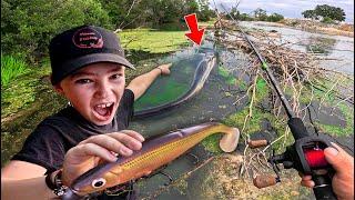 Cet abonné de 9 ans me dévoile son coin à Poissons Monstres ! On pêche un géant...