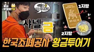 사람들은 왜 금을 좋아할까? - 한국조폐공사 투어 (ft.금시세)