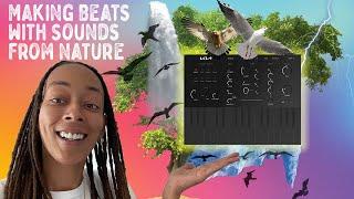 Making beats with sounds from nature with The Kia instrument