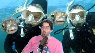 HasanAbi reacts to Curious Pufferfish Wants A Selfie
