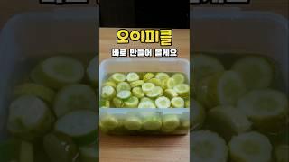 10년전 강남 유명 양식 레스토랑 피클 레시피 대공개