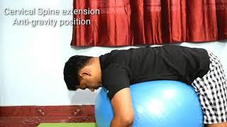 Thoracic Spine Pain | Upper Back Exercises by Nityal Physio