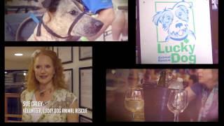 Lucky Dog Animal Rescue's Wags & Wine Event At Barrel Oak Winery