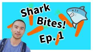 7 things you may not've known about me - sharkbites S1 EP1 | all day i eat like a shark 