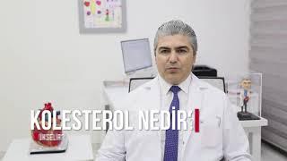 Kolesterol Nedir? Neden Yükselir?