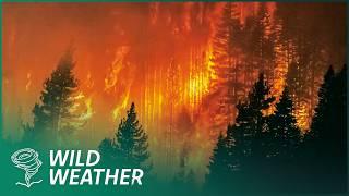 Wildfires Are Unstoppable In A Warming World