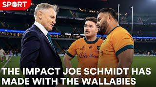 How Australia are reacting to Joe Schmidt and his legacy in Ireland