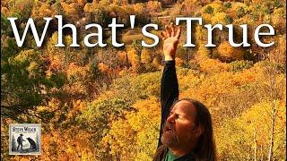 "What's True" Official Video from the album "Songs To Save Your Life". Algonquin Colours Fall Reggae