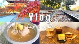 【Vlog】紅葉も食も楽しむ秋| 京都 | 紅葉 |南禅寺 | 鶴橋 | 韓国カフェ️ | タッカンマリ |