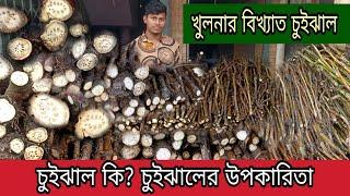 ঐতিহ্যবাহী চুইঝালের দাম জানুন || ফোনে অর্ডার করে নিতে পারেন || Chuijhal Price in Bangladesh