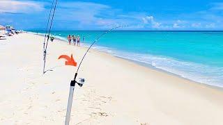 Tiny Rod Takes Massive Hit! Then Catches This Surf Fishing