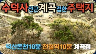 예산덕산면 수덕사 인근에 배산임수 좋은 집터을 매매합니다.외지분이 집을 짓고 남은 토지를 분양하는 거라서 저렴하게 드립니다.수덕사 3분덕산온천 10분 충남도청역 15분 거리입니다.