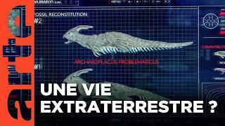 À la recherche d'une vie extraterrestre | L'odyssée interstellaire (3/4) | ARTE