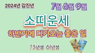 2024년 소띠운세/월별운세/직장운,사업운,금전운,애정운