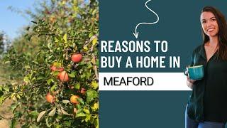 Buying a Home in Meaford Ontario | Investment Properties