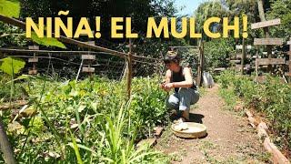 No te olvides del Mulch! Sorpresas para despedir nuestra casa y todos los zapatos perdidos