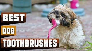 Best Dog Toothbrushes In 2024 - Top 10 Dog Toothbrushes Review