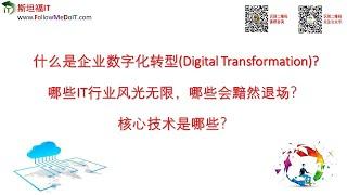 Yang Bin(杨斌):什么是数字转型(Digital Transformation)?为什么E时代数字转型是必然？IT职场，为什么有人风光无限，有人黯然退场？云计算、大数据，人工智能是数字转型吗？