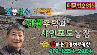 김천전원주택/김천포도밭/김천부동산/김천시 대항면 산수가 좋은 곳 전원주택과 샤인포도밭