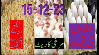 15-12-2023- broiler rate| Today egg rate |Today chicks price|Today poultry rate| today chicken rate