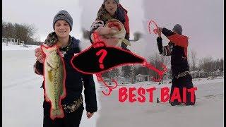 Best Ice Fishing Bait Ever!!! (My PB Ice Fishing)