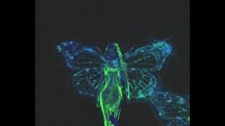 SEE FAIRIES | ENTER THE FAIRY REALM |  FAIRY MUSIC | CONNECT TO THE FAE | 432HZ DIVINE FREQUENCY