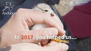 Thank You for 2017 | National Audubon Society