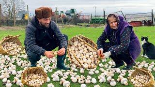 Azerbaijan's Heartwarming Family Life & Delicious Cuisine