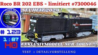 Roco BR 202 EBS (V100 DR) #7300046 Limitiert und Excklusiv !