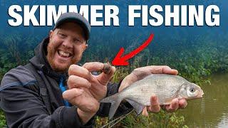 Catch Skimmers with TINY BALLS! | Andy May's Basics Guide