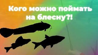 СОМ и ЯЗЬ на Эльбе!!! | Ultimate Fishing Simulator | Гамбург, Эльба