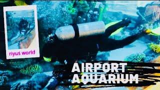 wow its an amazing aquarium | world largest airport aquarium | kaia airport jeddah