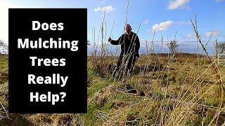 Does grass affect trees? We ran an experiment.