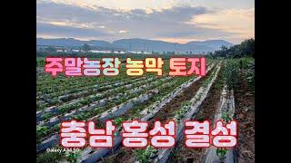 충남 홍성군 결성면 주말농장/농막,창고/1억1400