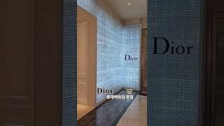 백화점 명품관 디올 매장 외부 둘러보기 [서울여행] Dior 롯데백화점 본점 1F