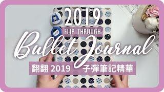 2019子彈筆記總回顧 2019 Bullet Journal Flip Through｜Bullet Journal｜舖米Pumi