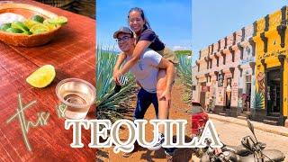 TEQUILA, JALISCO VLOG! (tour, tequila tasting, food)