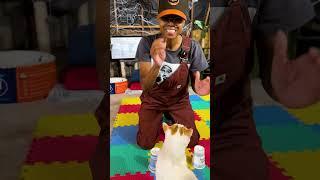 Testing my cats and kittens IQ ep. 2 #cat #catshorts #catlover #catvideos #kitten