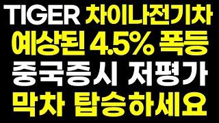 차이나전기차 중국 증시 폭등한다고 수차례 말씀드리고 저점 매수하고 있습니다 중국 전기차 1위( 미국주식 TQQQ SOXL 2차전지 ETF SCHD BYD LFP배터리 서대리TV )