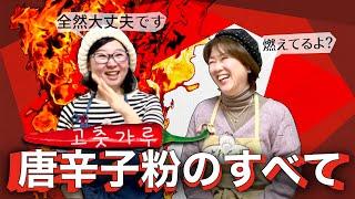 【唐辛子粉の保存方法＆選び方】韓国人が教える唐辛子粉(コチュカル)のすべて