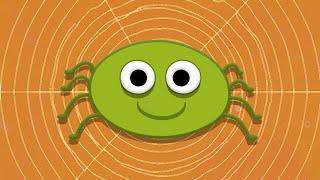 ITSY BITSY SPIDER - Song for Children - Bay Mırmır