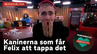 Kaninerna får Felix Sandman att bryta ihop - Musikhjälpen 2020