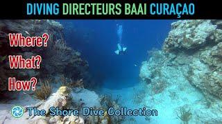 Diving Directeurs Baai Curaçao | The Shore Dive Collection | TropicLens - 4K