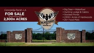 BlackHawk Hunting Land For Sale   LouisianaOutdoorProperties com