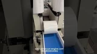 Auto side heat maxi paper towel paper packing machine #papermachine  #packingmachine