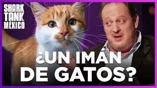 ¡El producto ideal para amantes de gatos! | Shark Tank México