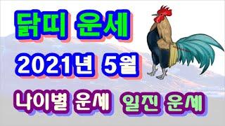5월 닭띠 운세 - 2021년 5월 신축년 계사월 닭띠 일진 사주 운세보기