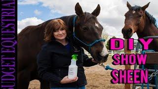 DIY Equine Coat Conditioner and Shine