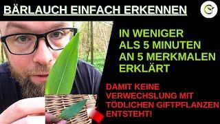 Bärlauch erkennen - 5 einfache Merkmale in unter 5 Minuten erklärt!